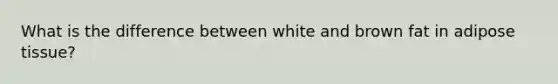 What is the difference between white and brown fat in adipose tissue?