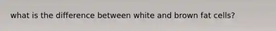 what is the difference between white and brown fat cells?