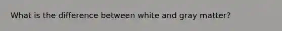 What is the difference between white and gray matter?