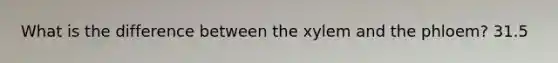 What is the difference between the xylem and the phloem? 31.5