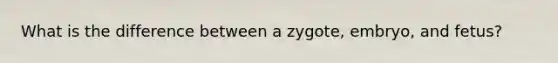 What is the difference between a zygote, embryo, and fetus?