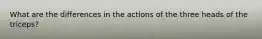 What are the differences in the actions of the three heads of the triceps?