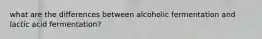 what are the differences between alcoholic fermentation and lactic acid fermentation?