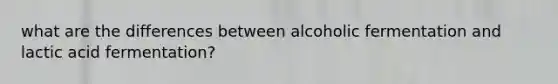 what are the differences between alcoholic fermentation and lactic acid fermentation?