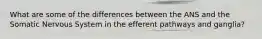 What are some of the differences between the ANS and the Somatic Nervous System in the efferent pathways and ganglia?