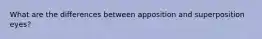 What are the differences between apposition and superposition eyes?