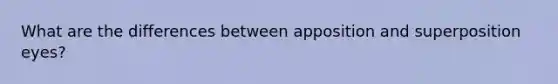 What are the differences between apposition and superposition eyes?