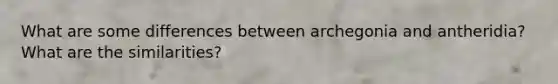 What are some differences between archegonia and antheridia? What are the similarities?