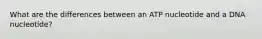 What are the differences between an ATP nucleotide and a DNA nucleotide?