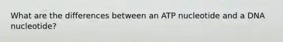 What are the differences between an ATP nucleotide and a DNA nucleotide?