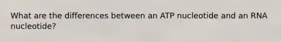 What are the differences between an ATP nucleotide and an RNA nucleotide?