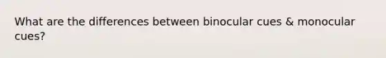 What are the differences between binocular cues & monocular cues?