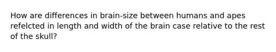 How are differences in brain-size between humans and apes refelcted in length and width of the brain case relative to the rest of the skull?