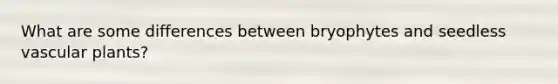 What are some differences between bryophytes and seedless vascular plants?