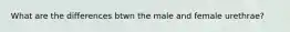 What are the differences btwn the male and female urethrae?