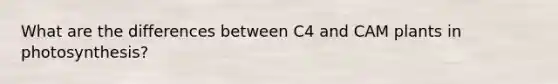 What are the differences between C4 and CAM plants in photosynthesis?