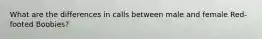 What are the differences in calls between male and female Red-footed Boobies?