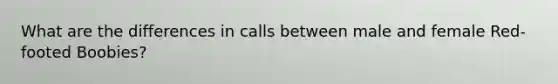 What are the differences in calls between male and female Red-footed Boobies?