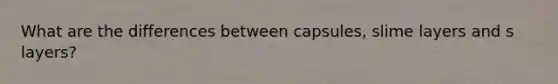 What are the differences between capsules, slime layers and s layers?