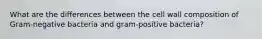 What are the differences between the cell wall composition of Gram-negative bacteria and gram-positive bacteria?