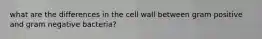 what are the differences in the cell wall between gram positive and gram negative bacteria?