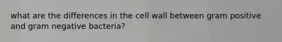 what are the differences in the cell wall between gram positive and gram negative bacteria?