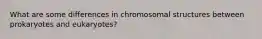 What are some differences in chromosomal structures between prokaryotes and eukaryotes?