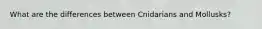 What are the differences between Cnidarians and Mollusks?