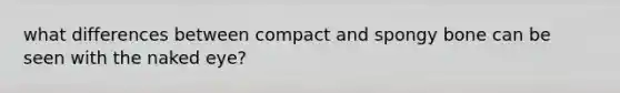 what differences between compact and spongy bone can be seen with the naked eye?