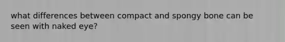 what differences between compact and spongy bone can be seen with naked eye?