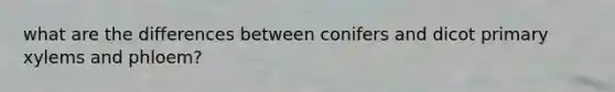 what are the differences between conifers and dicot primary xylems and phloem?