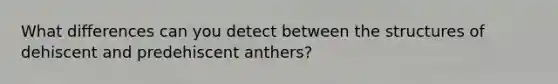 What differences can you detect between the structures of dehiscent and predehiscent anthers?