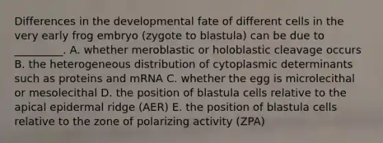 Differences in the developmental fate of different cells in the very early frog embryo (zygote to blastula) can be due to _________. A. whether meroblastic or holoblastic cleavage occurs B. the heterogeneous distribution of cytoplasmic determinants such as proteins and mRNA C. whether the egg is microlecithal or mesolecithal D. the position of blastula cells relative to the apical epidermal ridge (AER) E. the position of blastula cells relative to the zone of polarizing activity (ZPA)