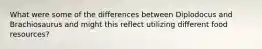 What were some of the differences between Diplodocus and Brachiosaurus and might this reflect utilizing different food resources?