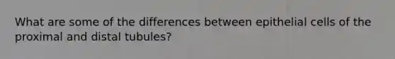 What are some of the differences between epithelial cells of the proximal and distal tubules?