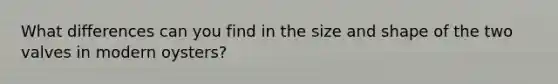 What differences can you find in the size and shape of the two valves in modern oysters?