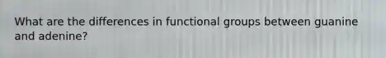 What are the differences in functional groups between guanine and adenine?