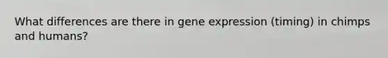 What differences are there in gene expression (timing) in chimps and humans?