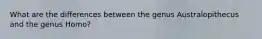 What are the differences between the genus Australopithecus and the genus Homo?