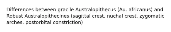 Differences between gracile Australopithecus (Au. africanus) and Robust Australopithecines (sagittal crest, nuchal crest, zygomatic arches, postorbital constriction)