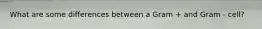 What are some differences between a Gram + and Gram - cell?
