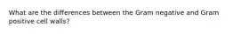 What are the differences between the Gram negative and Gram positive cell walls?