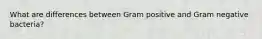 What are differences between Gram positive and Gram negative bacteria?