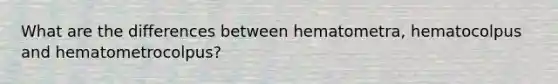 What are the differences between hematometra, hematocolpus and hematometrocolpus?