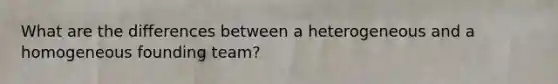 What are the differences between a heterogeneous and a homogeneous founding team?