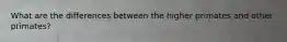 What are the differences between the higher primates and other primates?