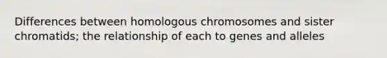 Differences between homologous chromosomes and sister chromatids; the relationship of each to genes and alleles