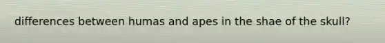 differences between humas and apes in the shae of the skull?