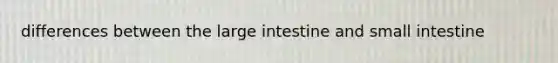 differences between the large intestine and small intestine