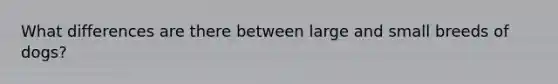 What differences are there between large and small breeds of dogs?